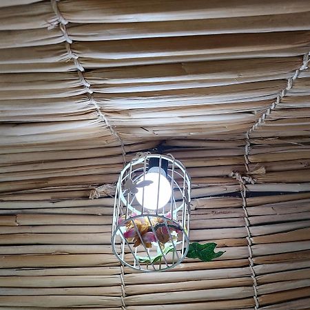 Vila Ecologica Cambara Ngoại thất bức ảnh